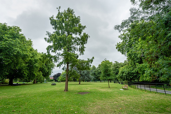 Lambeth Green Flag Parks-80