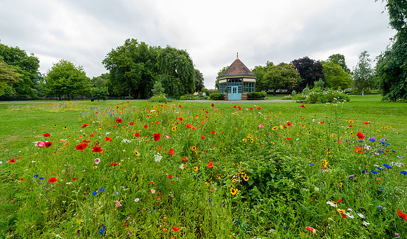 Lambeth Green Flag Parks-98