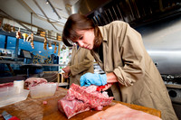 Butchery Course-51