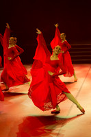 Passionata Performance