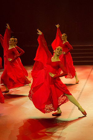 Passionata Performance