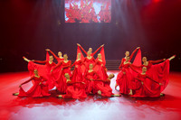 Passionata Performance