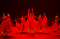 Passionata Performance