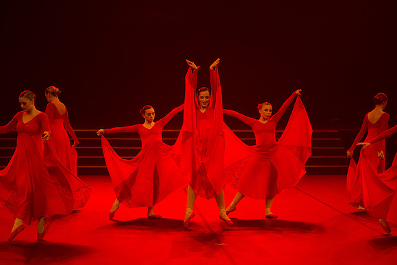 Passionata Performance