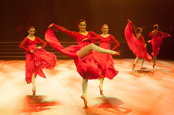 Passionata Performance