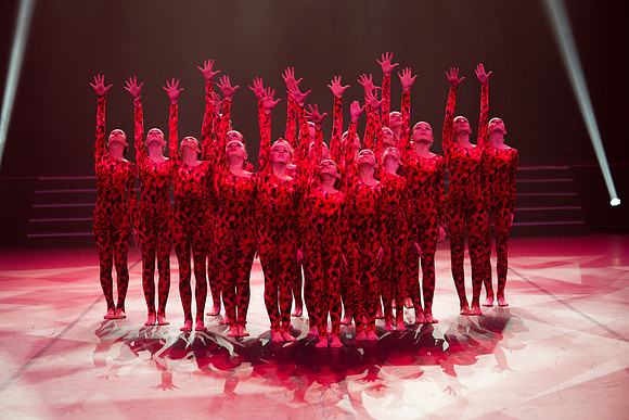 Confusion Performance