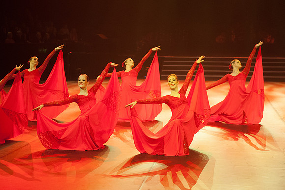 Passionata Performance