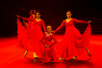Passionata Performance
