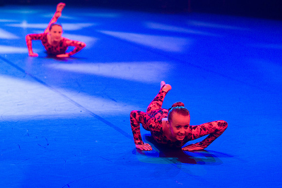 Confusion Performance