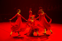 Passionata Performance