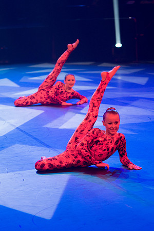 Confusion Performance