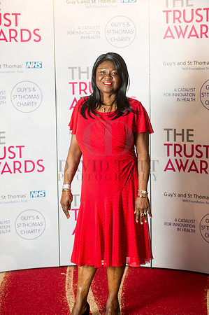 GSTT Awards 2014-200