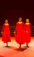 Passionata Performance