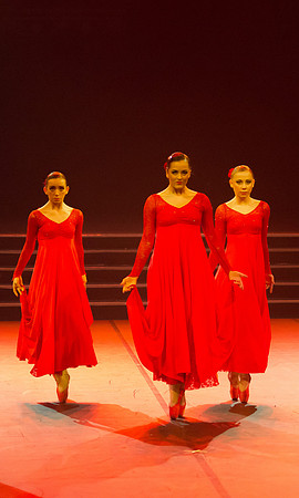 Passionata Performance