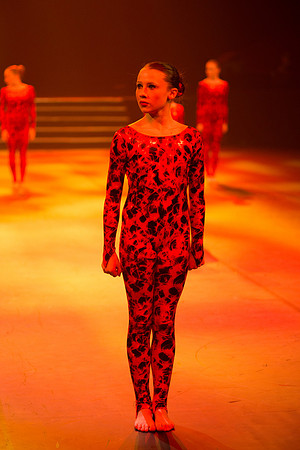 Confusion Performance