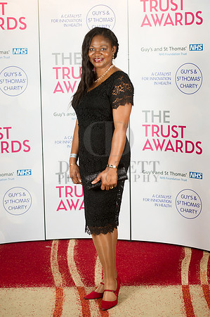 GSTT Awards 2014-258