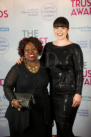 GSTT Awards 2014-11