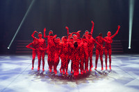Passionata Performance