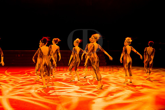 Dance Proms Performance-836