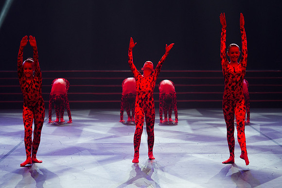 Confusion Performance