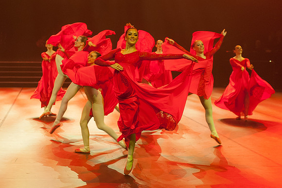 Passionata Performance