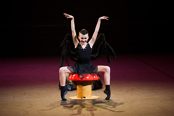 Spider's Banquet Performance