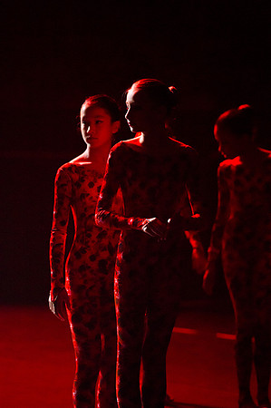 Confusion Rehearsal