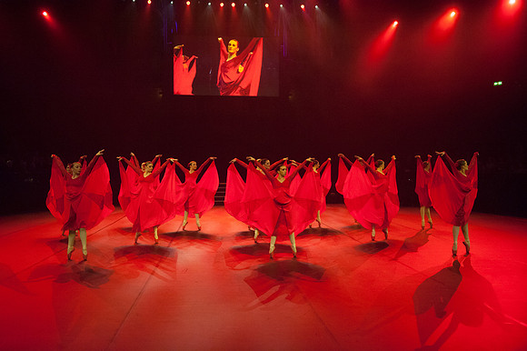 Passionata Performance